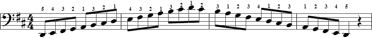 d scale notes